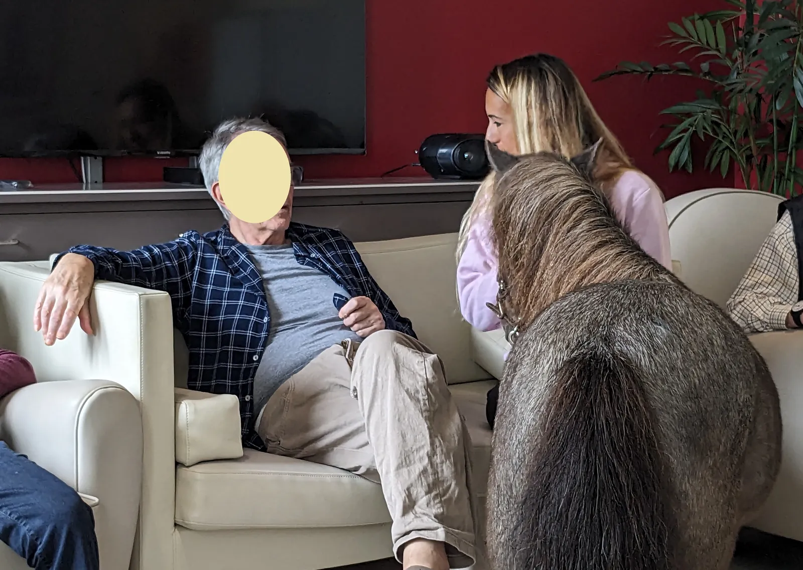 Les résidents murmurent à l'oreille du cheval...