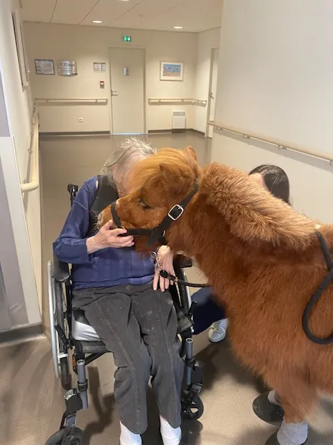 Moment de complicité avec la ponette visiteuse 