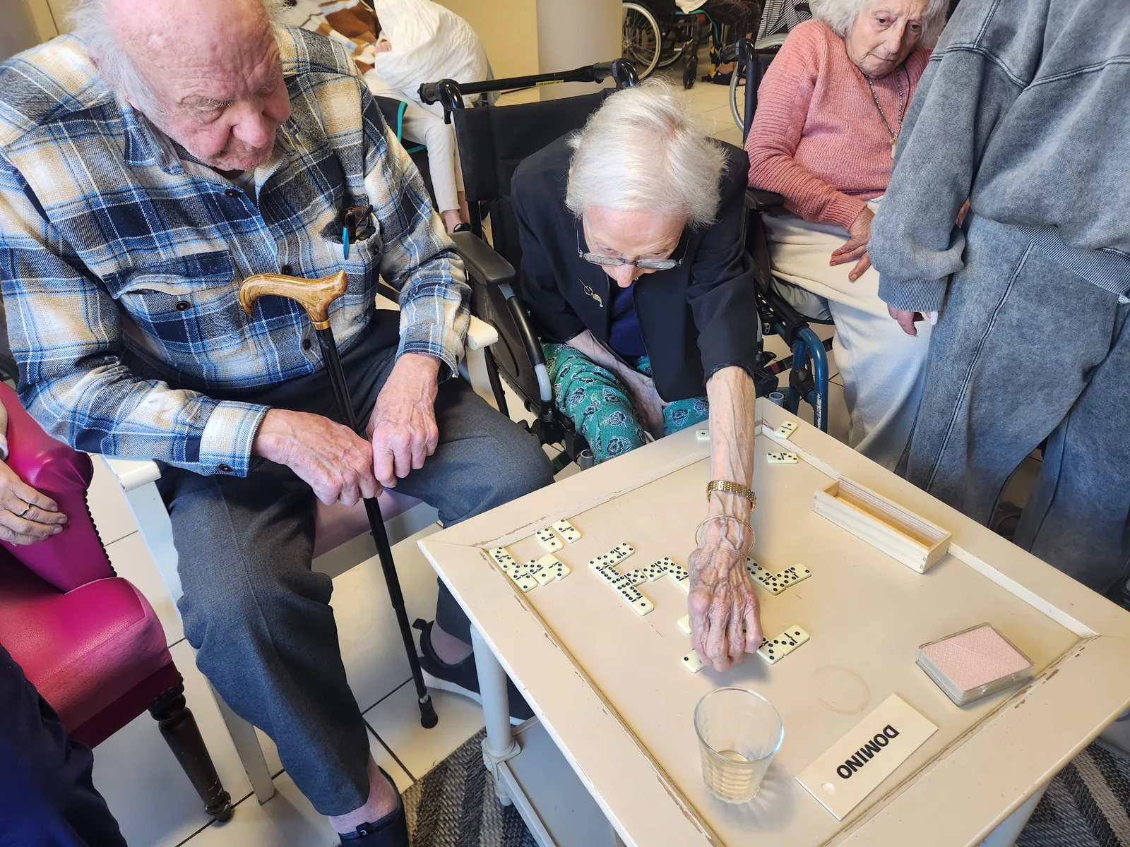 Les jeux de dominos 