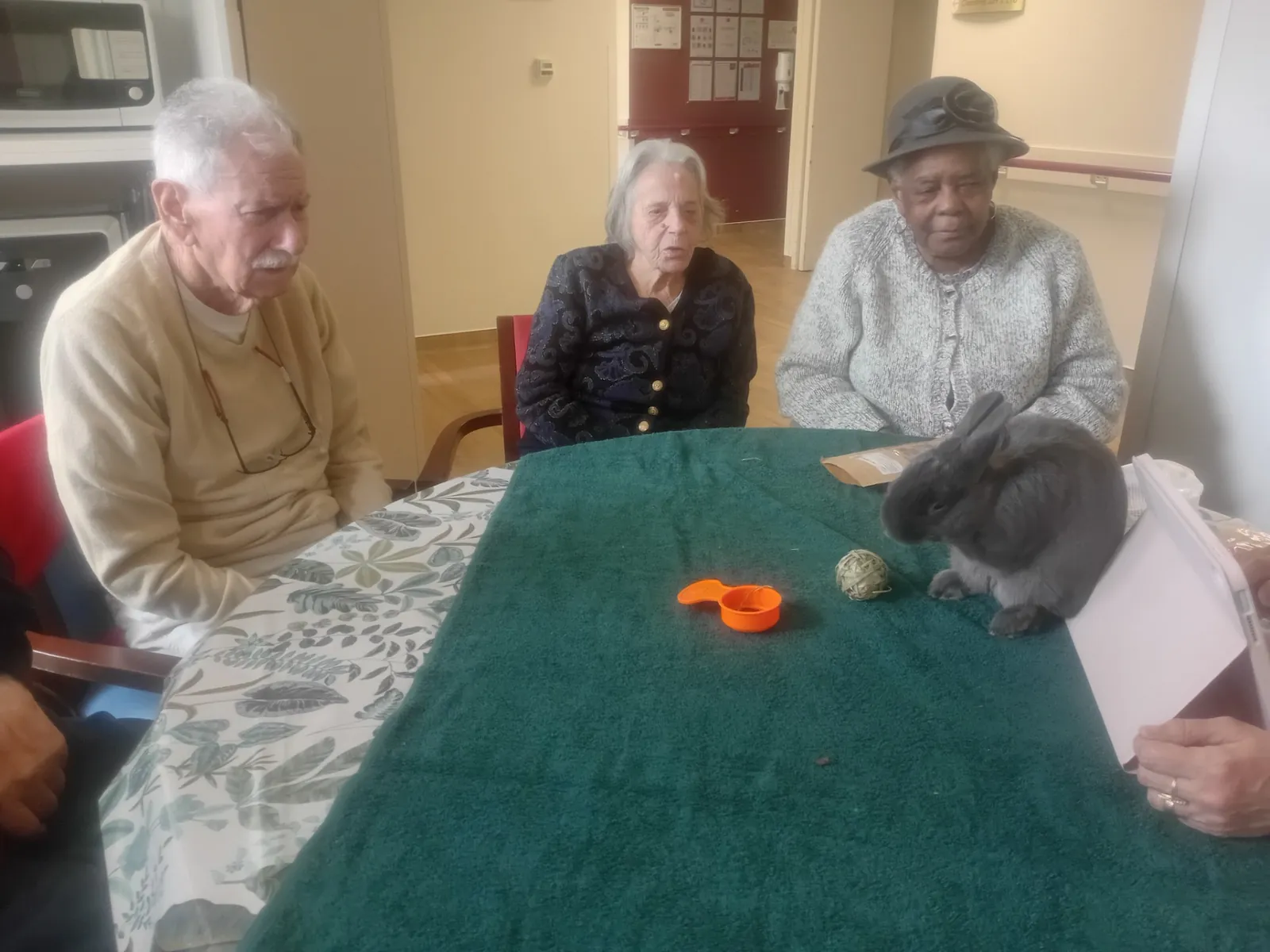 Quand les rollers s’invitent à la résidence pour un moment inoubliable