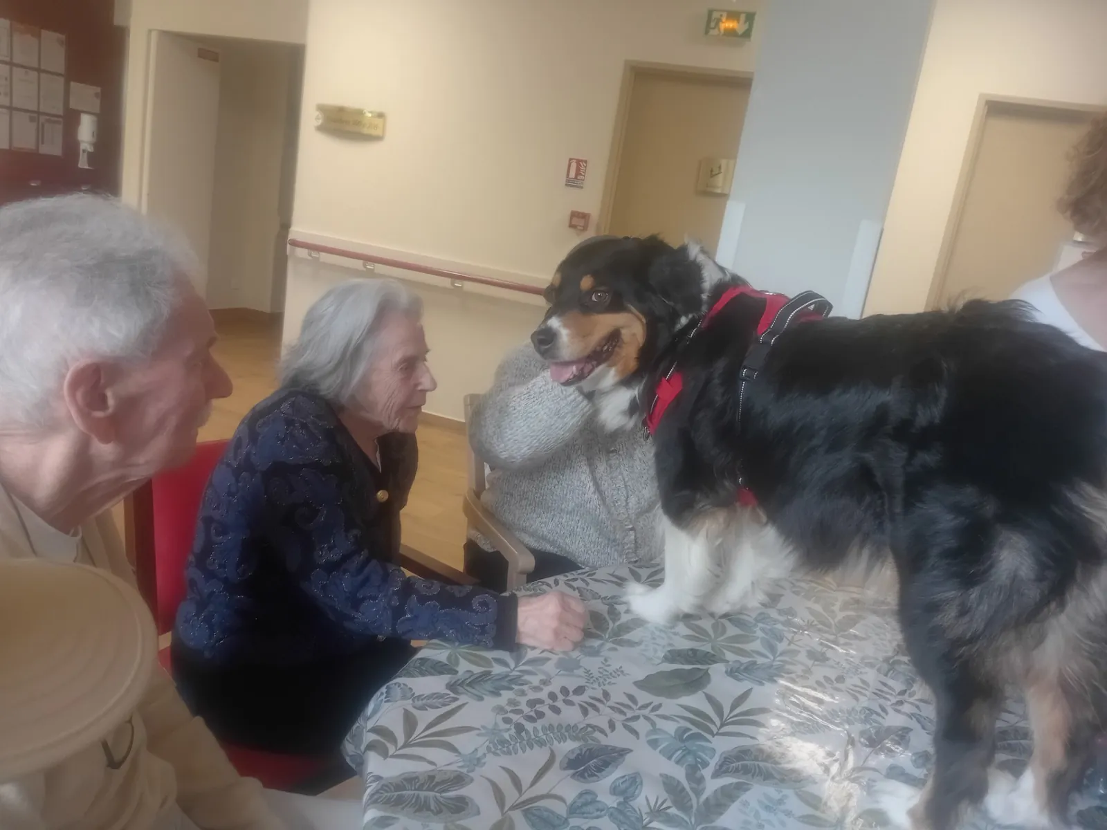 Quand les rollers s’invitent à la résidence pour un moment inoubliable