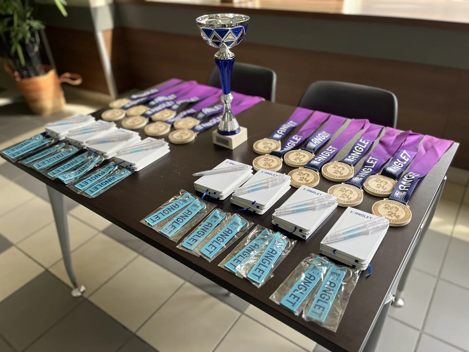 Semaine Bleue : Arpège participe à la compétition e-sport bowling sur Switch !