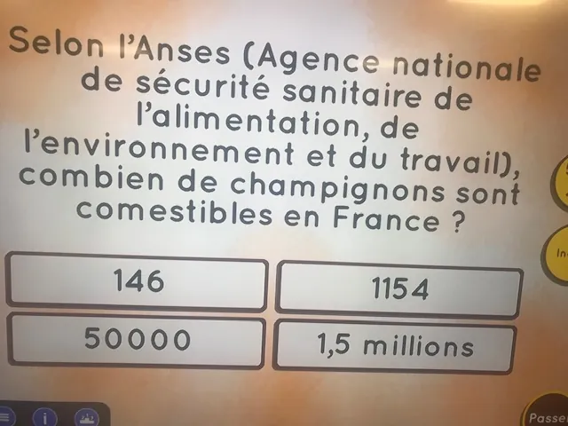 Semaine du Goût : Les Champignons à l'Honneur 