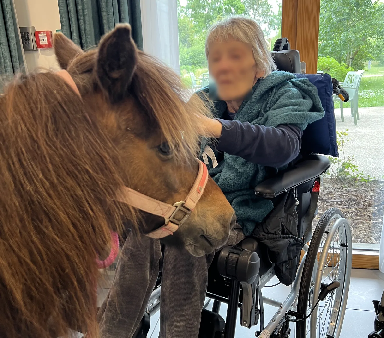 Avez-vous déjà vu un poney dans un ascenseur 