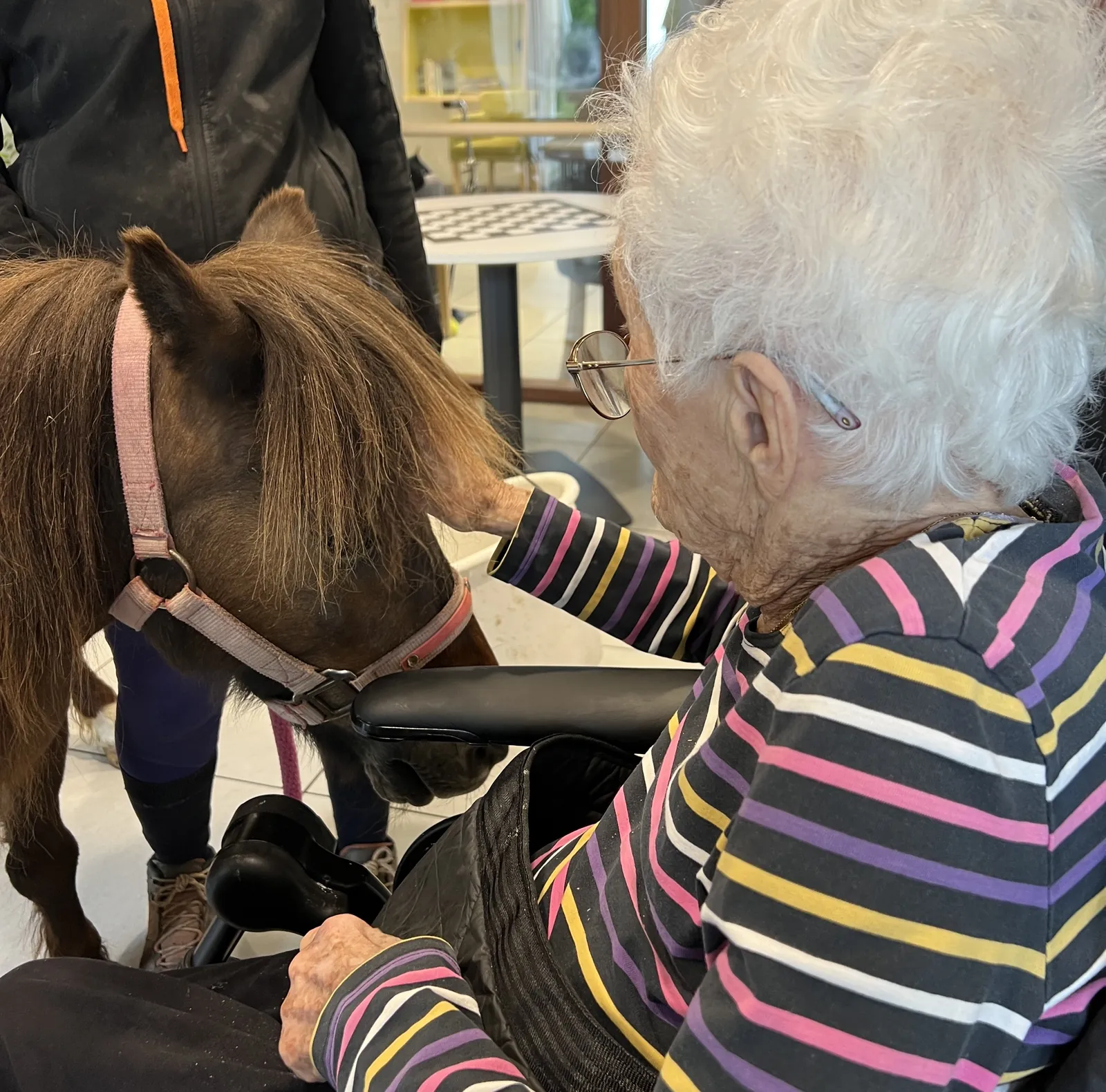 Avez-vous déjà vu un poney dans un ascenseur 