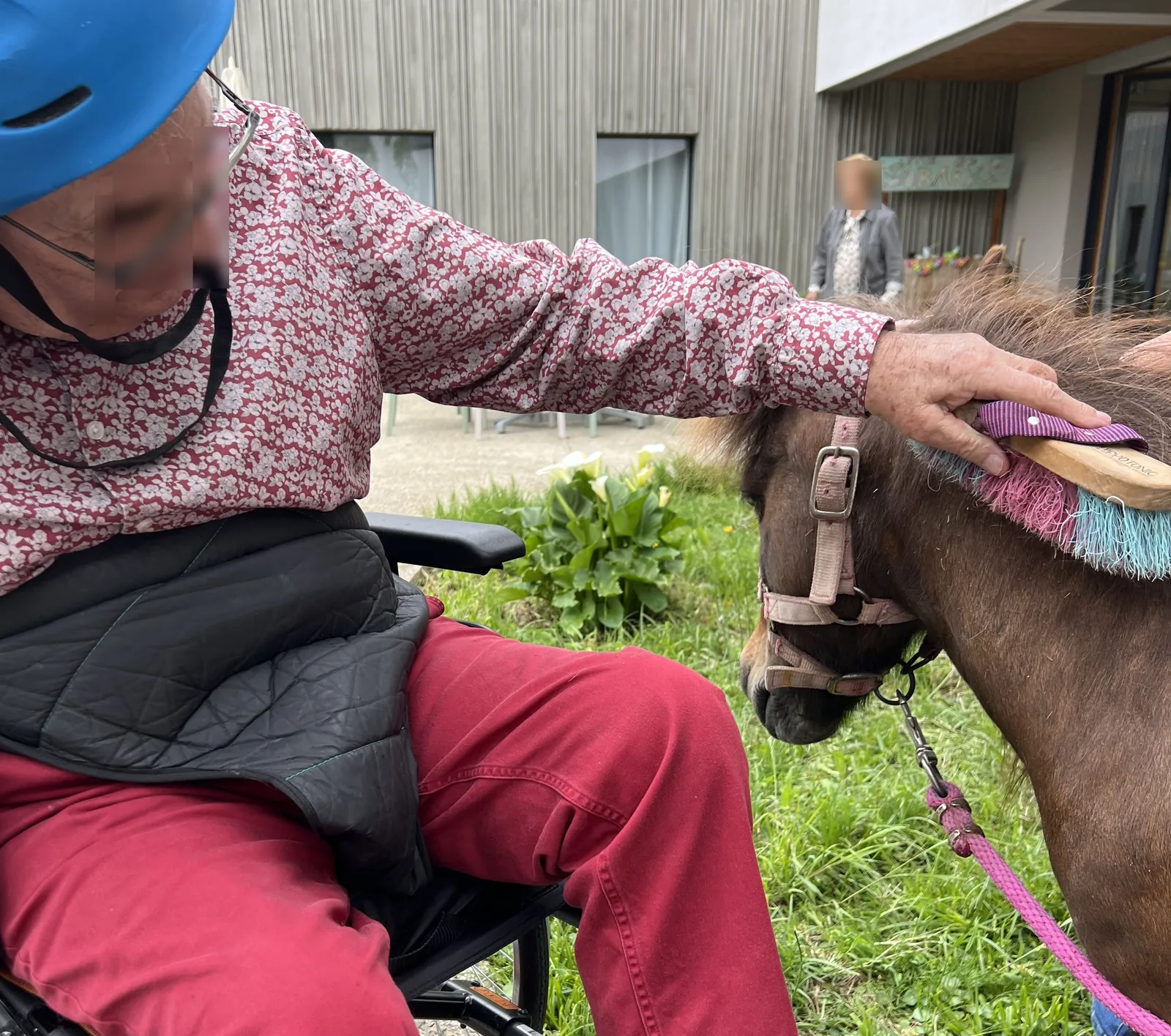 Avez-vous déjà vu un poney dans un ascenseur 