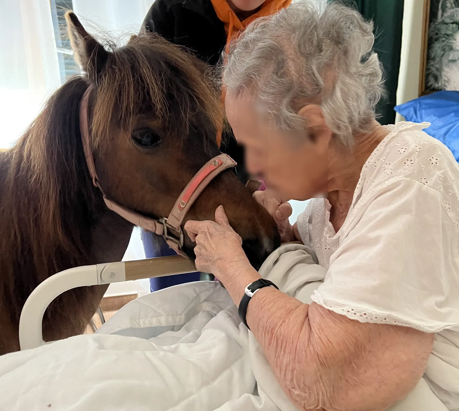 Avez-vous déjà vu un poney dans un ascenseur 