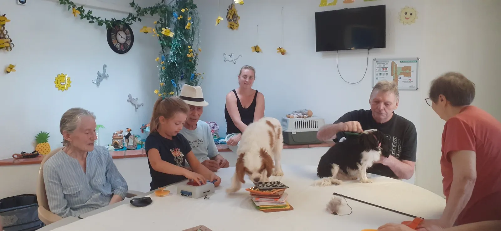 médiation animale : première séance pour Cléa