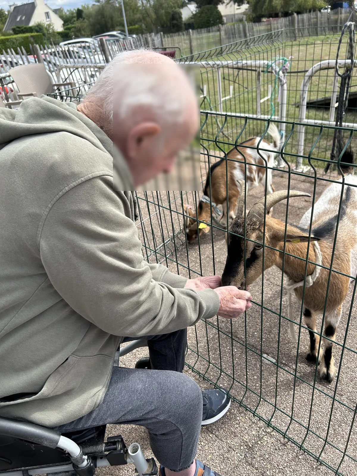 Accueil d'une ferme intinérante