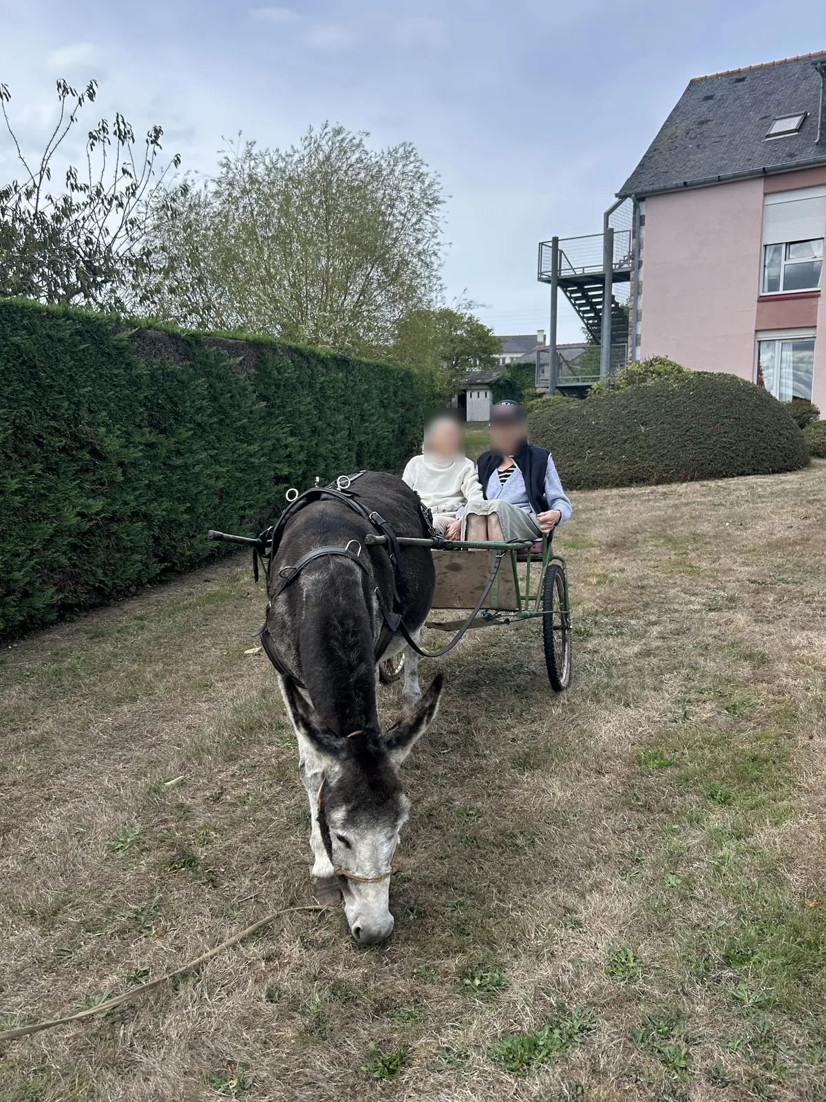Accueil d'une ferme intinérante