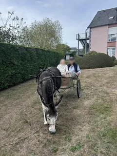 Accueil d'une ferme intinérante