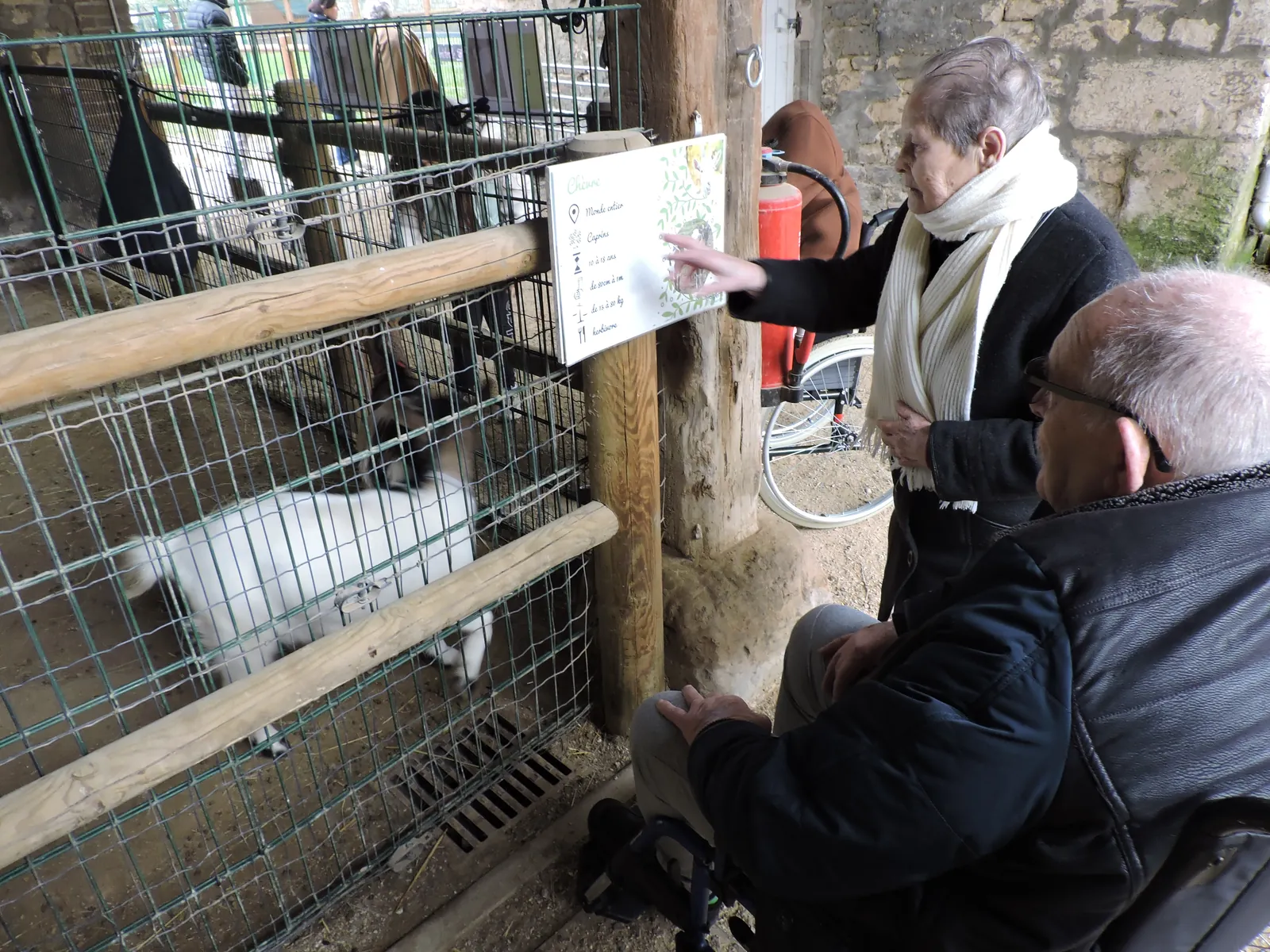 Visite d'une ferme pédagogique