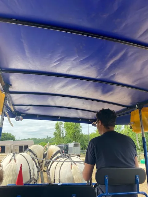 BALADE EN CALECHE A MORSANG-SUR-SEINE 