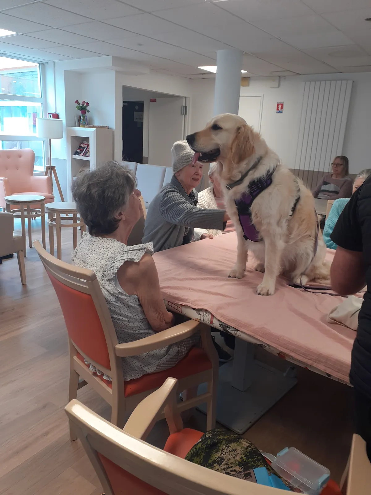 Une belle rencontre 