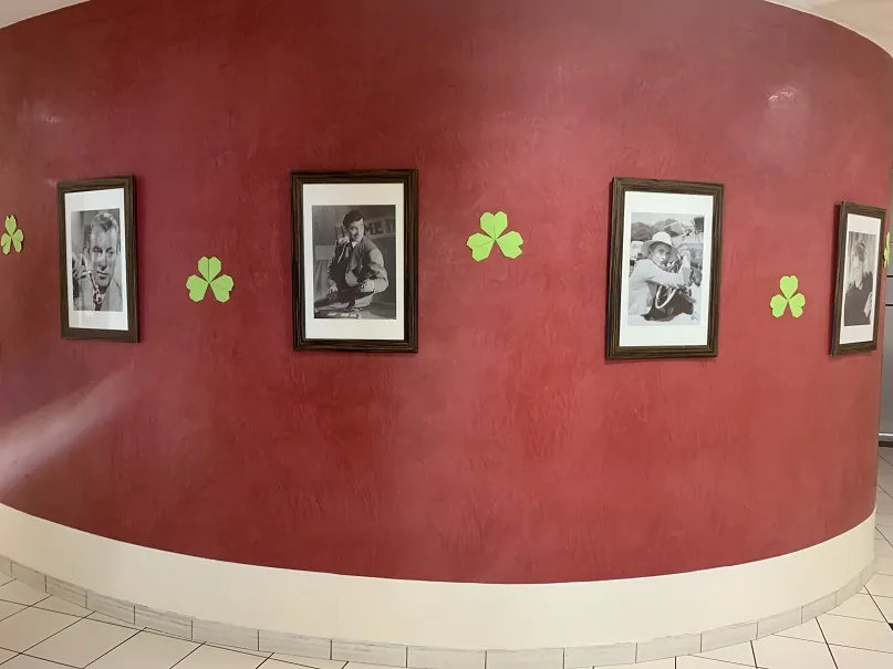 Aux couleurs de l'Irlande !
