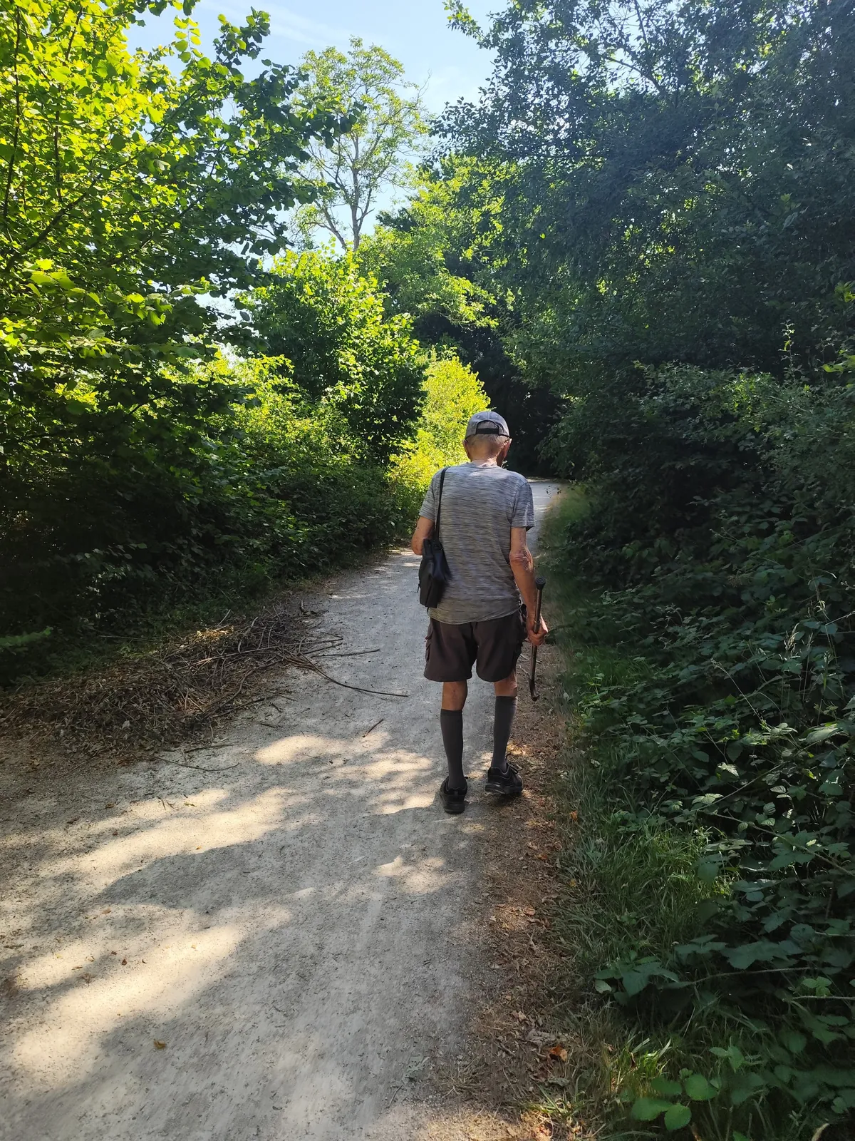 Promenade du matin 
