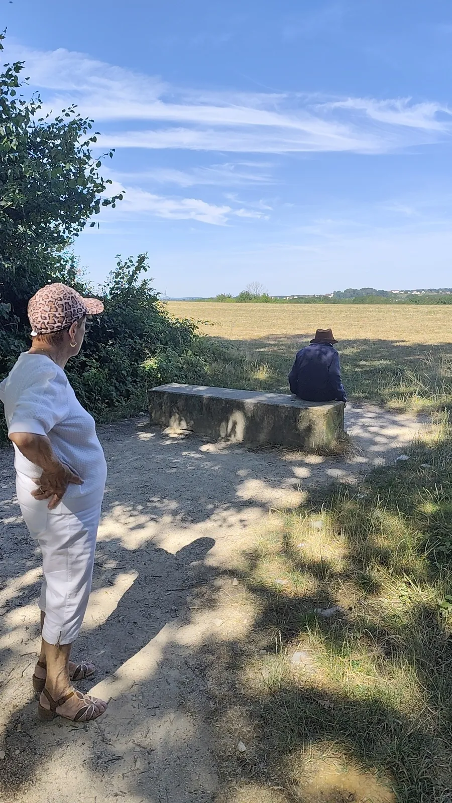 Promenade du matin 