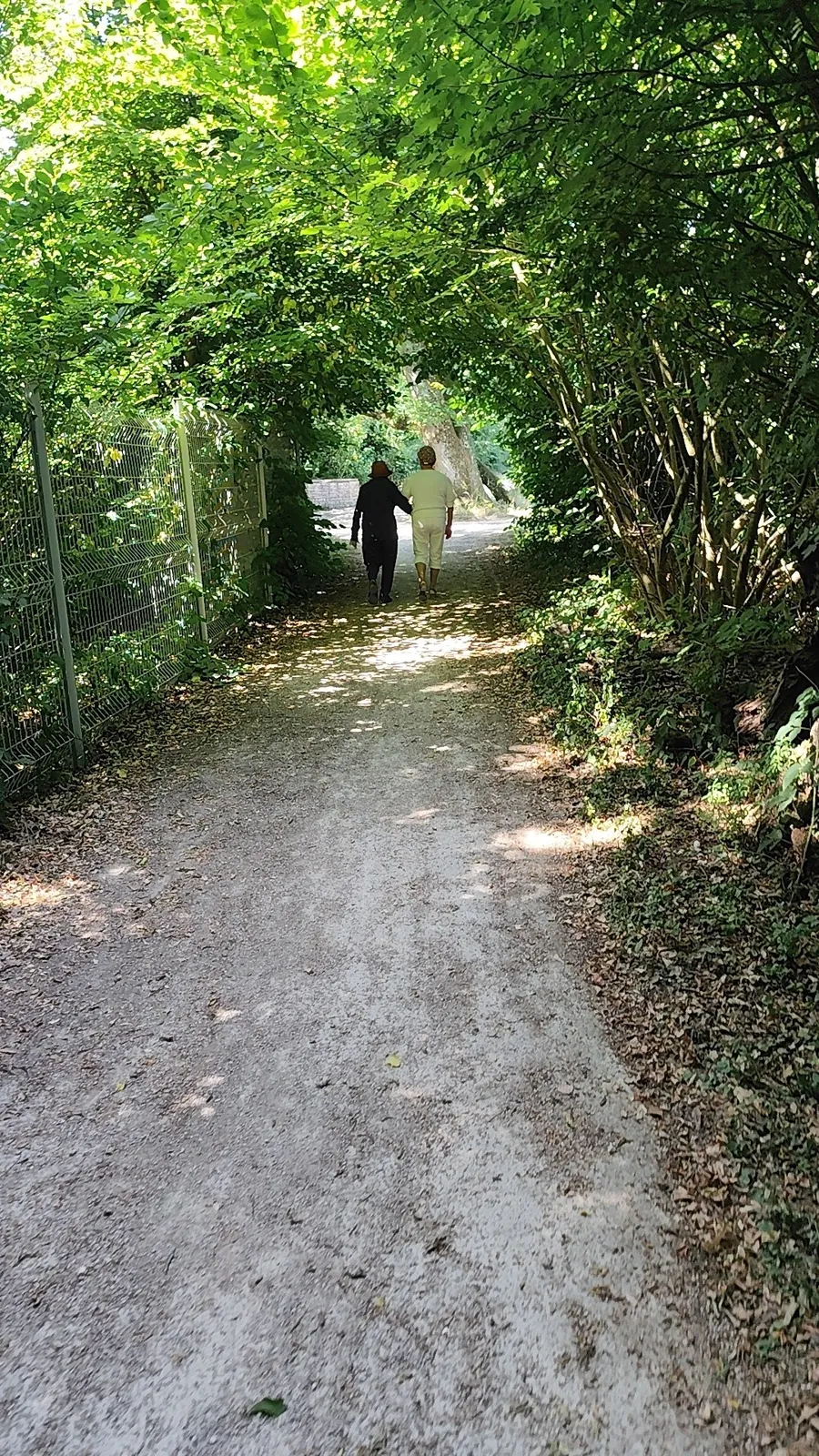 Promenade du matin 