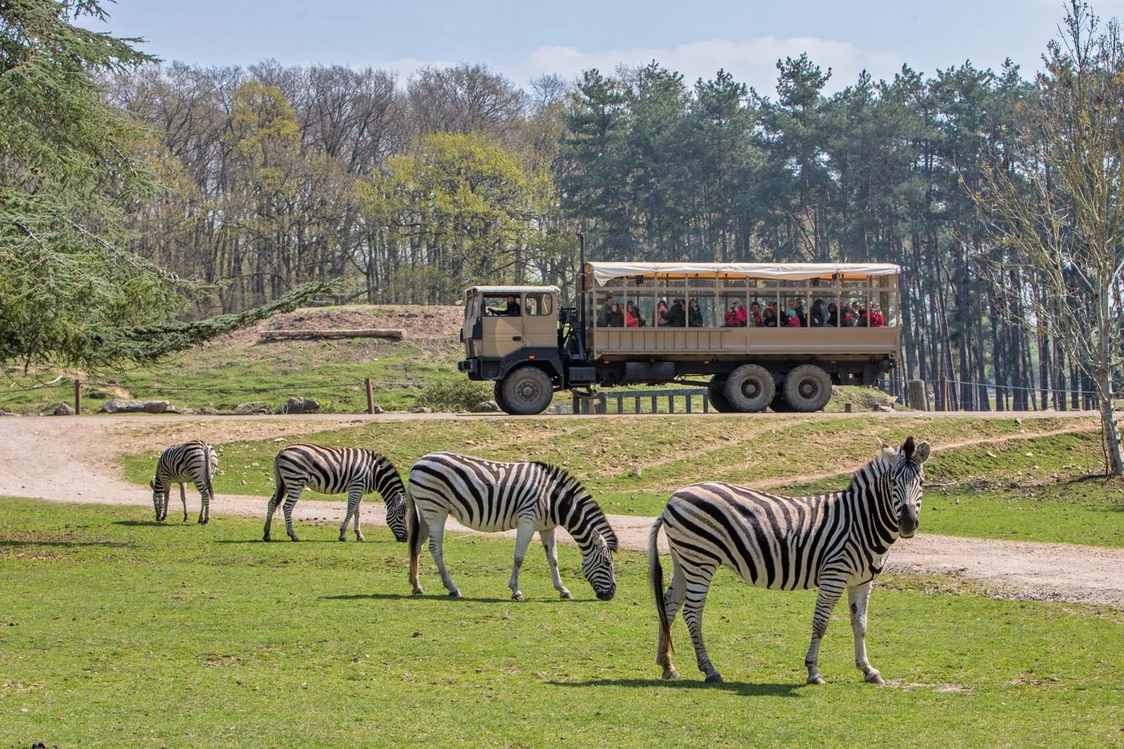 Une Journée Inoubliable au Zoo de Thoiry !