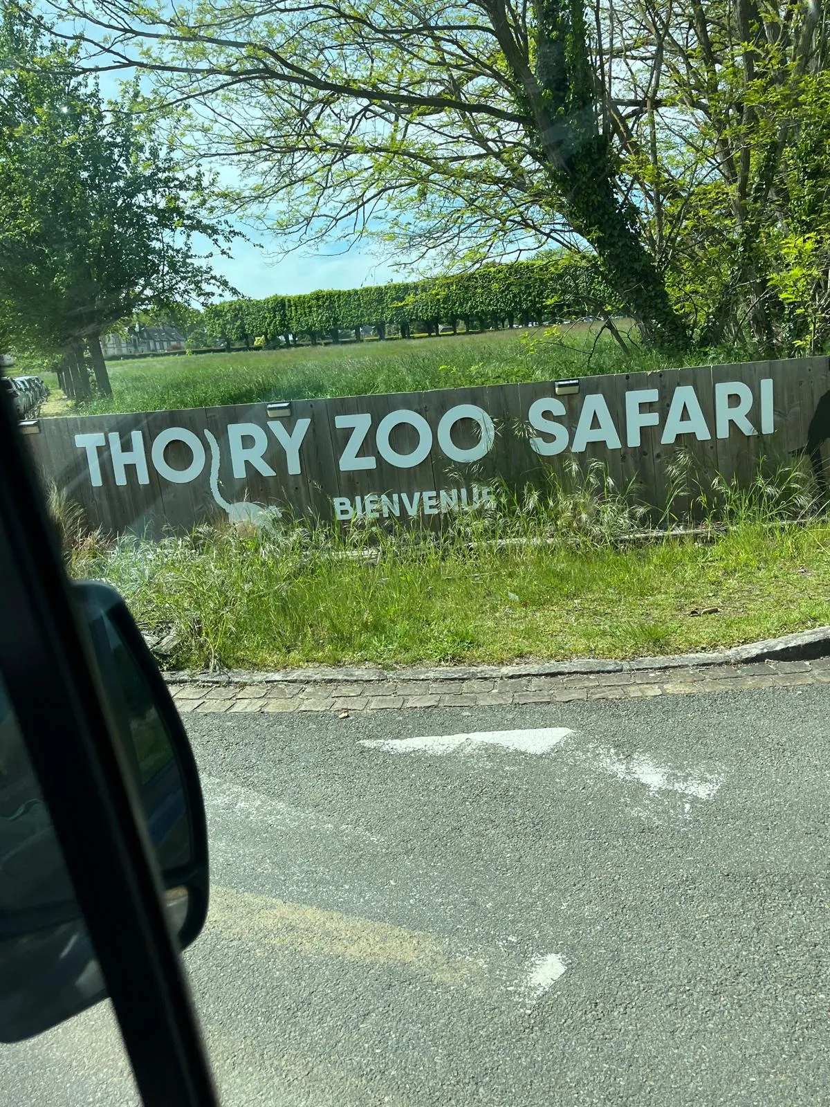Une Journée Inoubliable au Zoo de Thoiry !