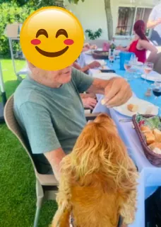 Barbecue des résidents : le chien de l’animatrice vole la vedette