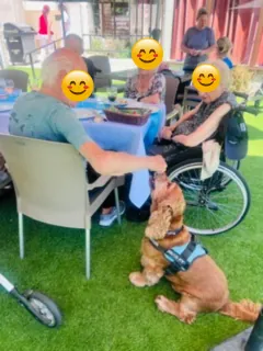 Barbecue des résidents : le chien de l’animatrice vole la vedette