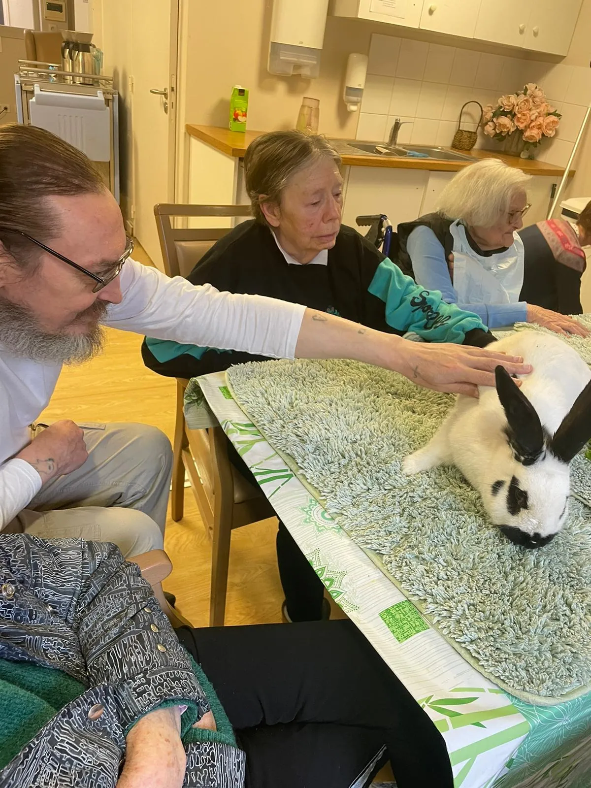 La médiation animale 