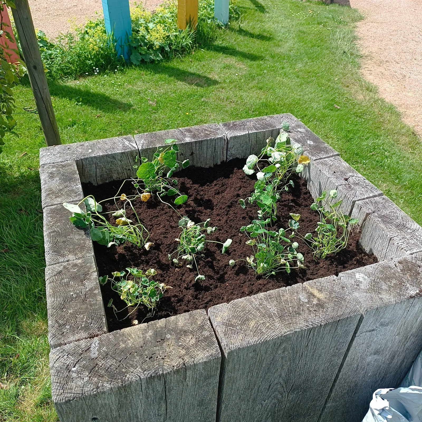 Reprise des activités de jardinage 