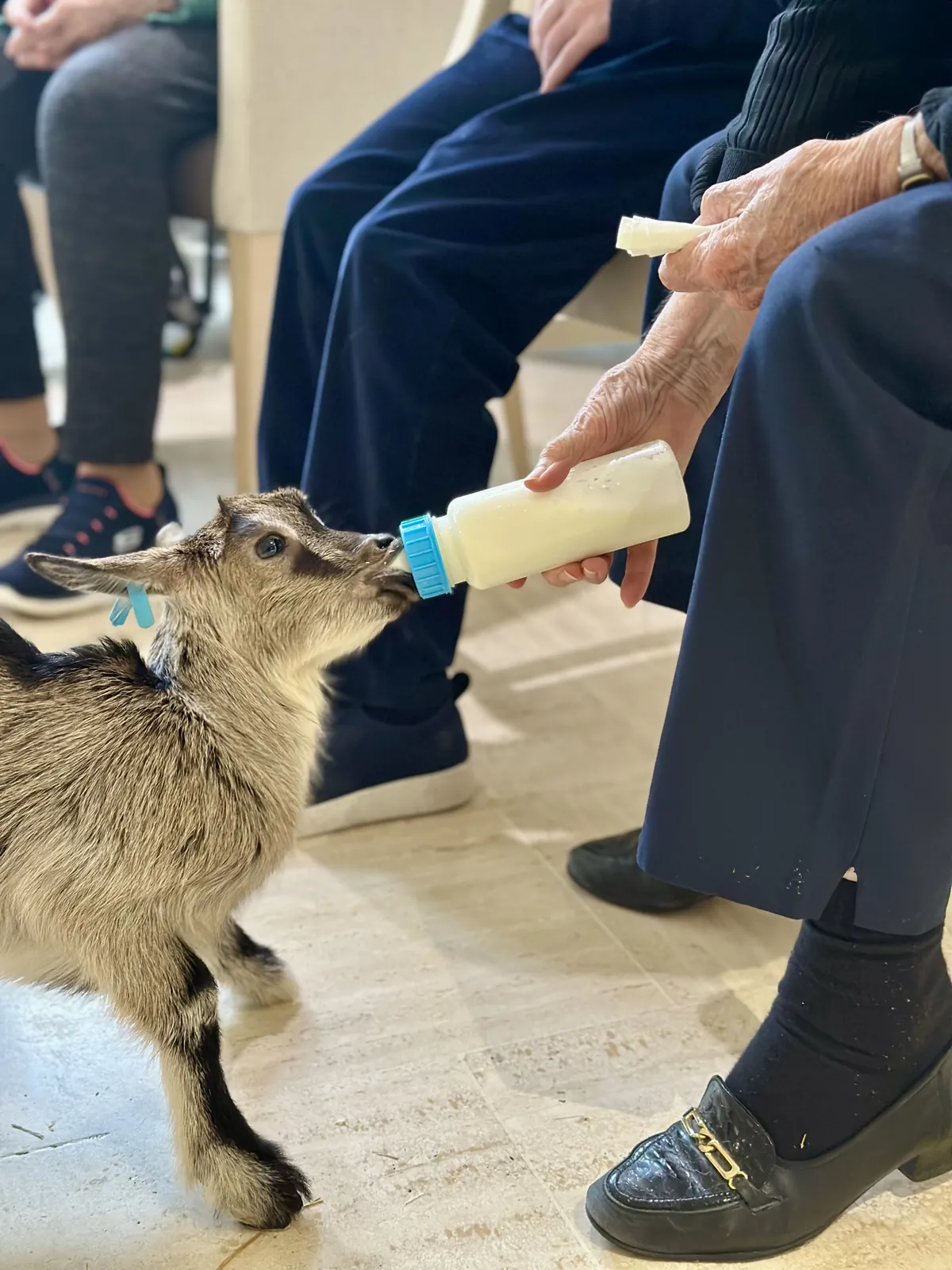 Ferme à la Résidence Azur ! 