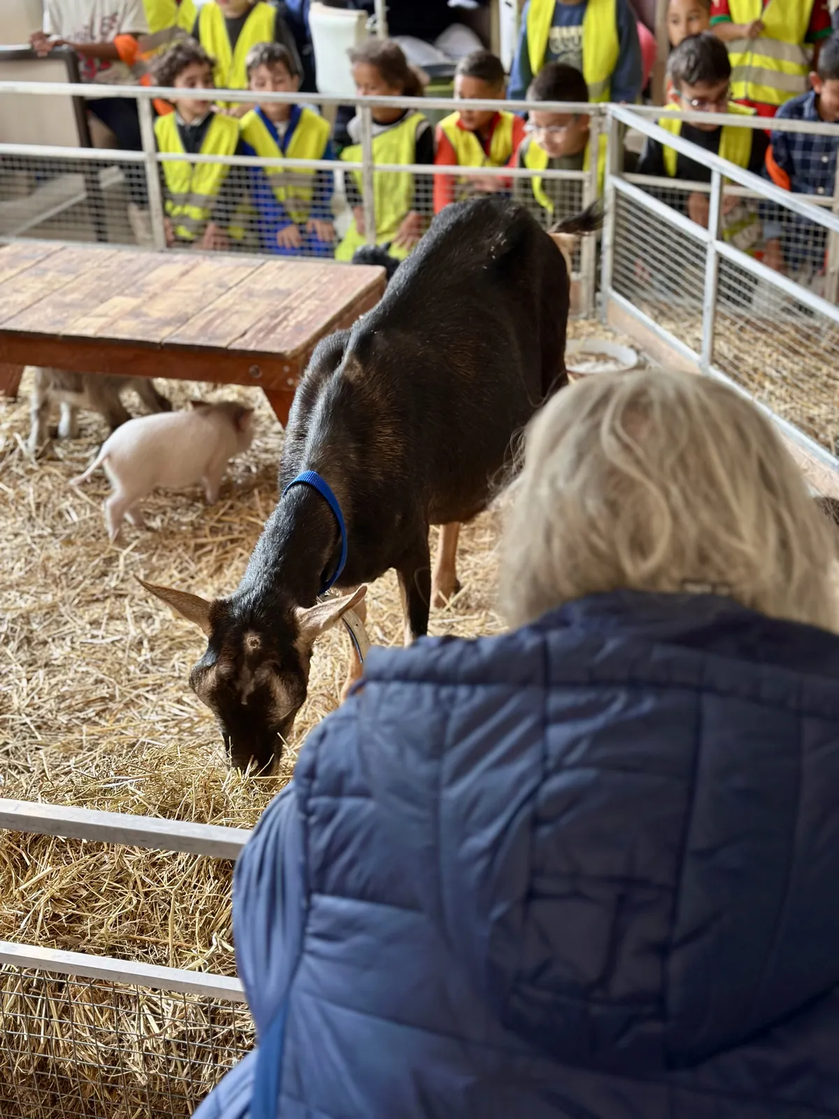 Ferme à la Résidence Azur ! 