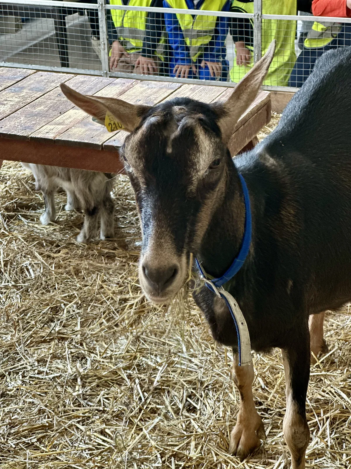 Ferme à la Résidence Azur ! 