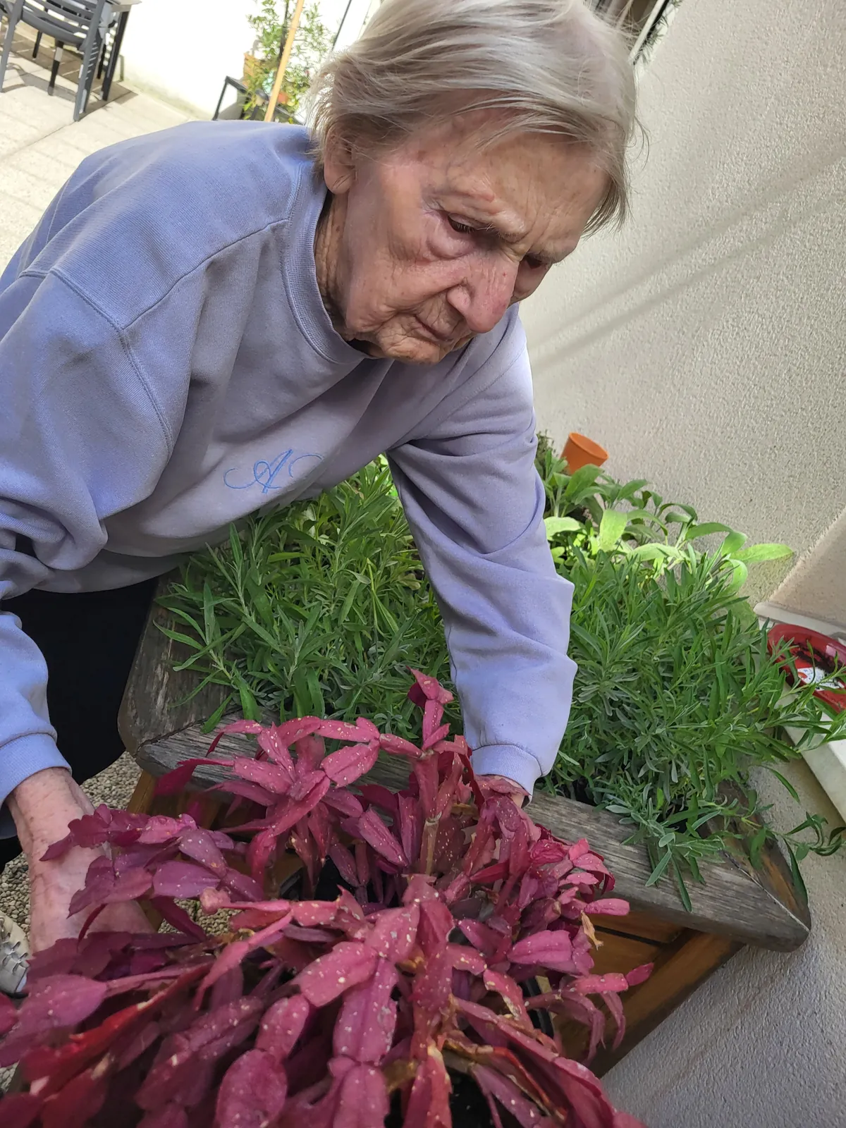 Atelier jardinage a La résidence les Adrets 