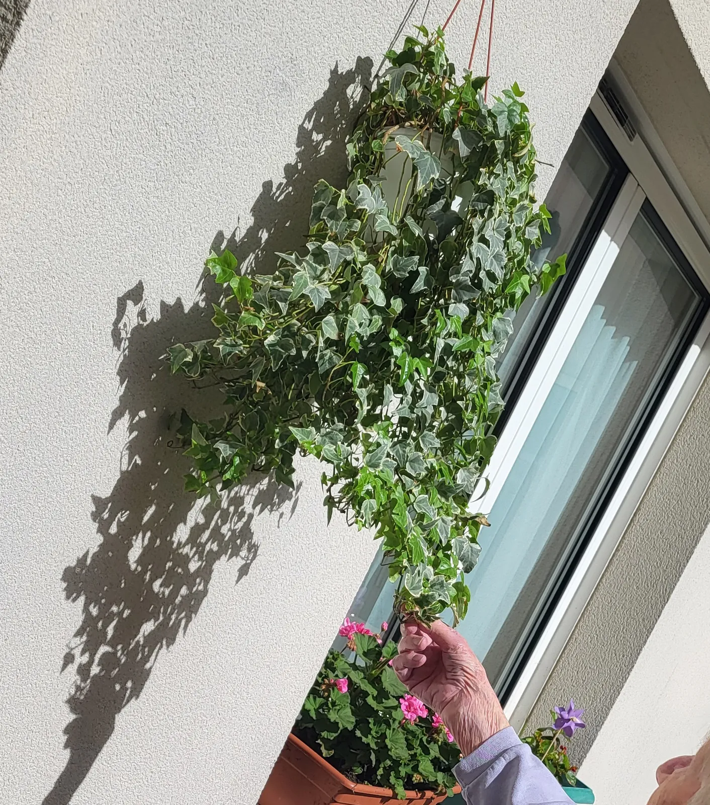 Atelier jardinage a La résidence les Adrets 