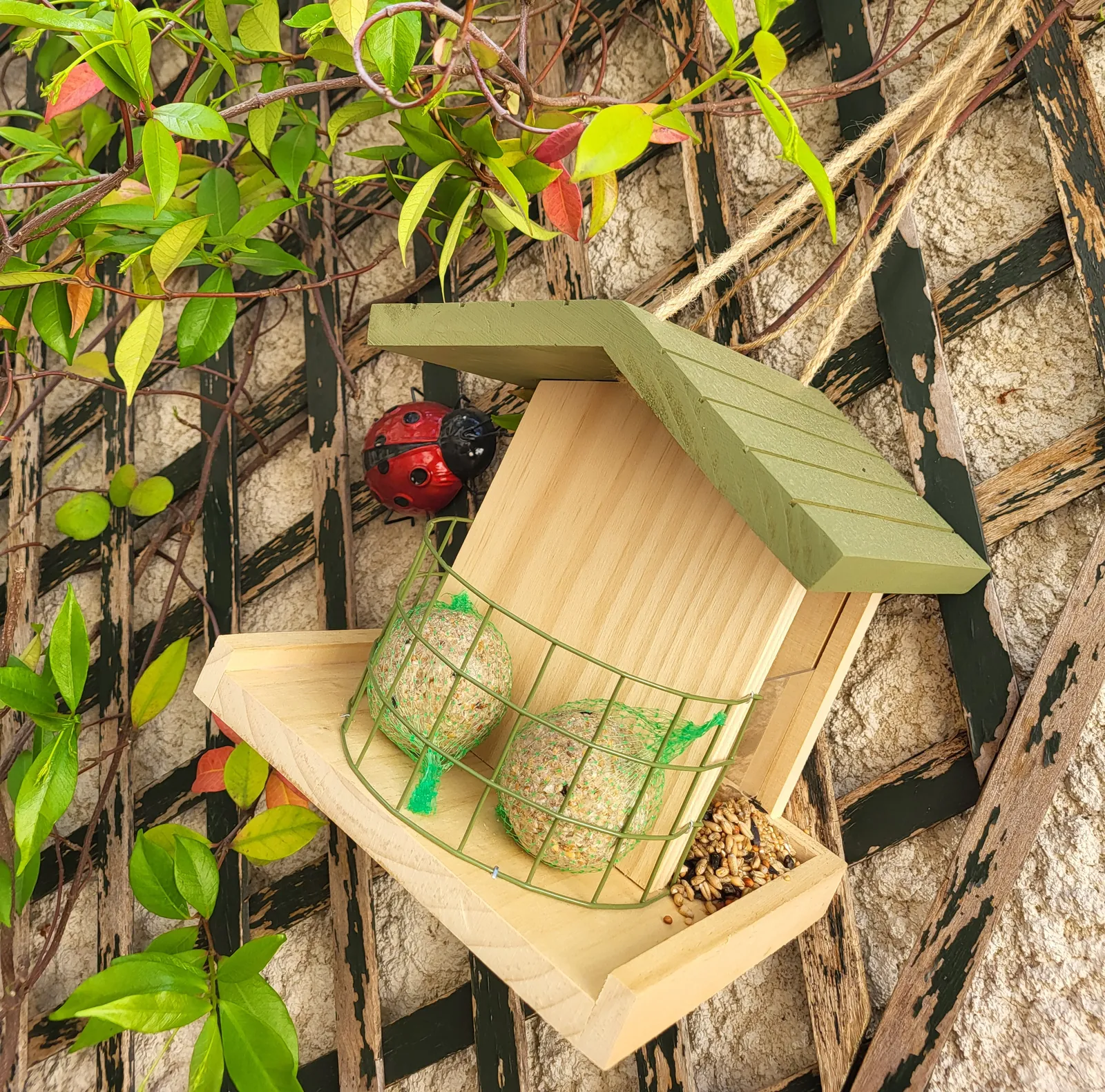 Atelier jardinage a La résidence les Adrets 