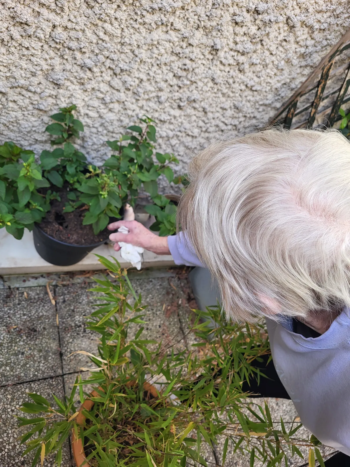 Atelier jardinage a La résidence les Adrets 