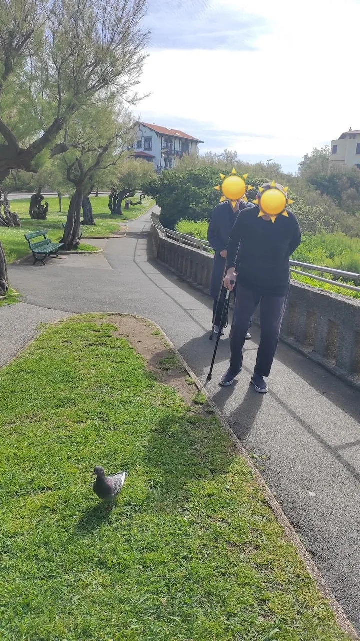 Sortie rééducation, de la marche en plein air !