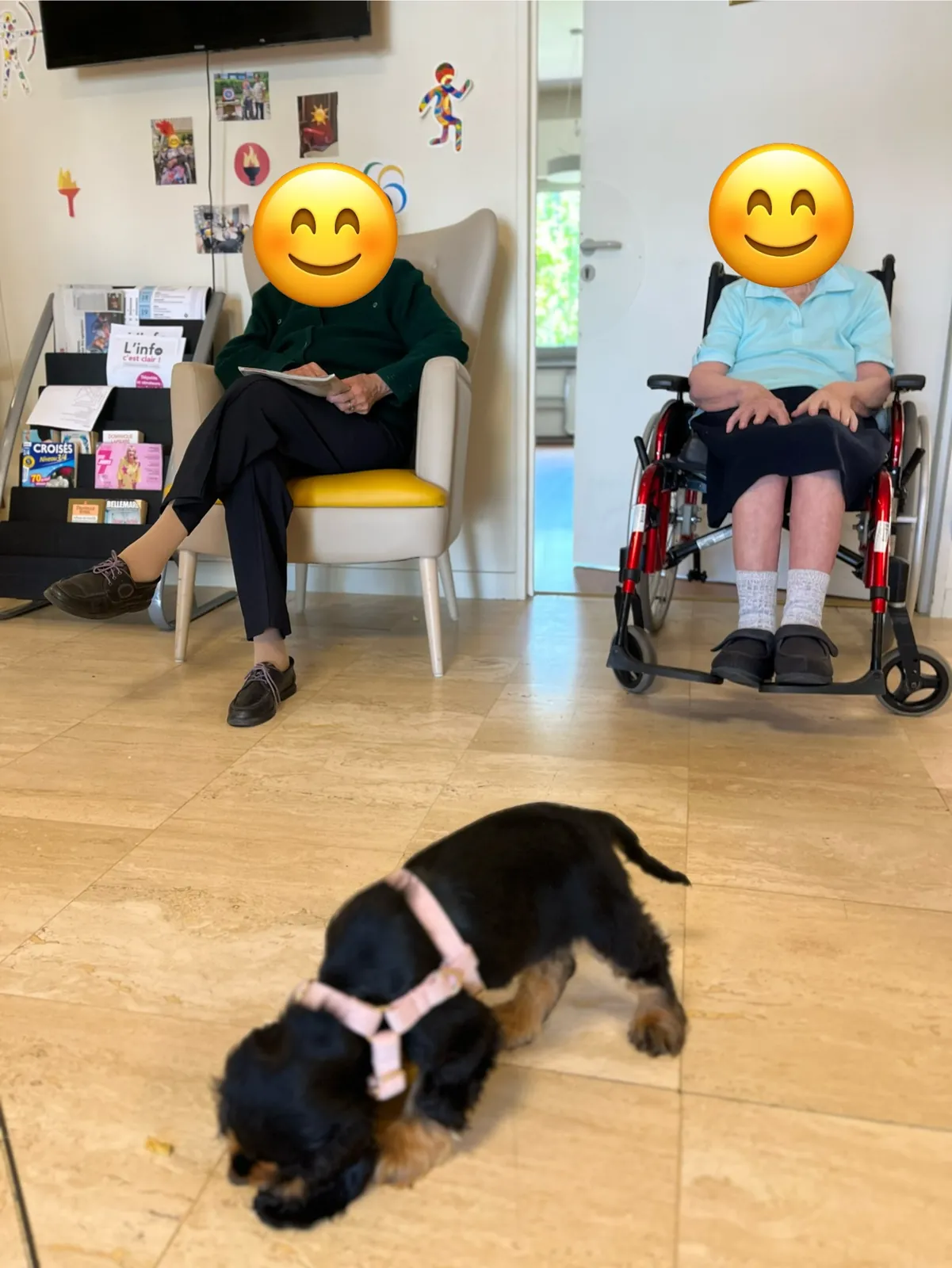 Une nouvelle venue qui a du chien !