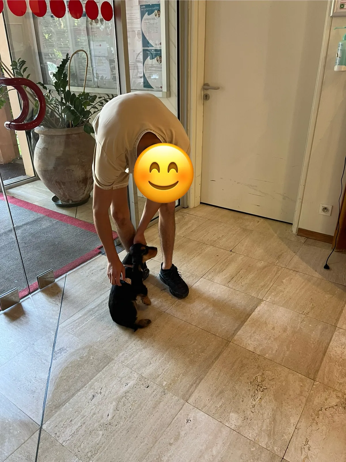 Une nouvelle venue qui a du chien !