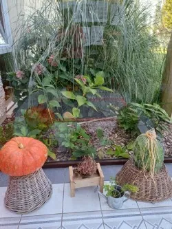 La Fontaine Médicis s'habille aux couleurs de l'automne