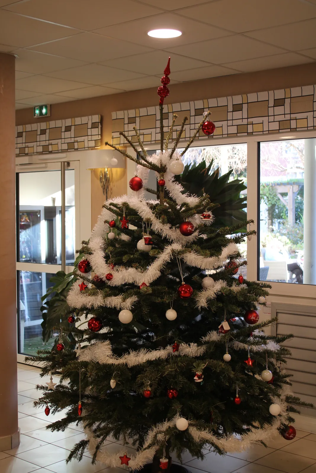 UN ARBRE DE NOEL  Intergénérationnelle