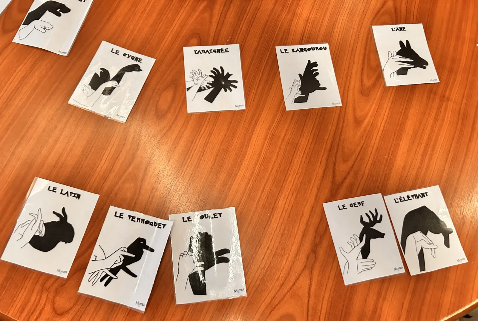 Atelier ombres chinoises 