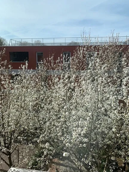 Le printemps s’invite à la résidence (1ère partie !)