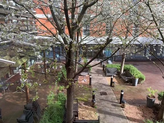 Le printemps s’invite à la résidence (1ère partie !)