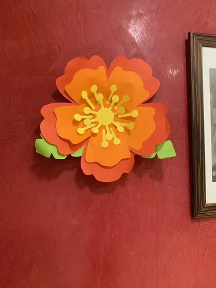 Le printemps s’invite à la résidence (1ère partie !)