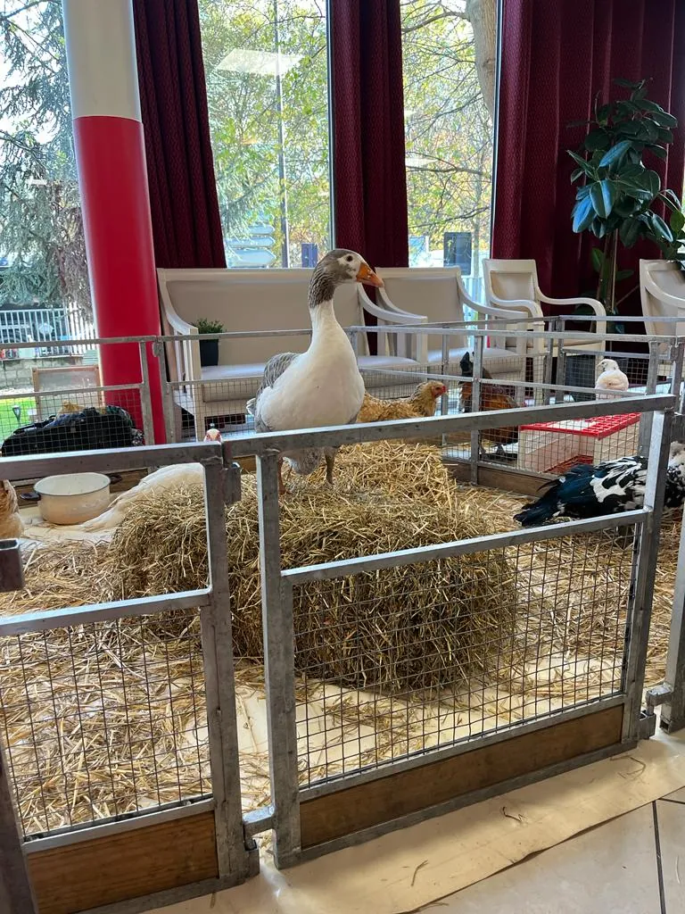 La Ferme à la Résidence 