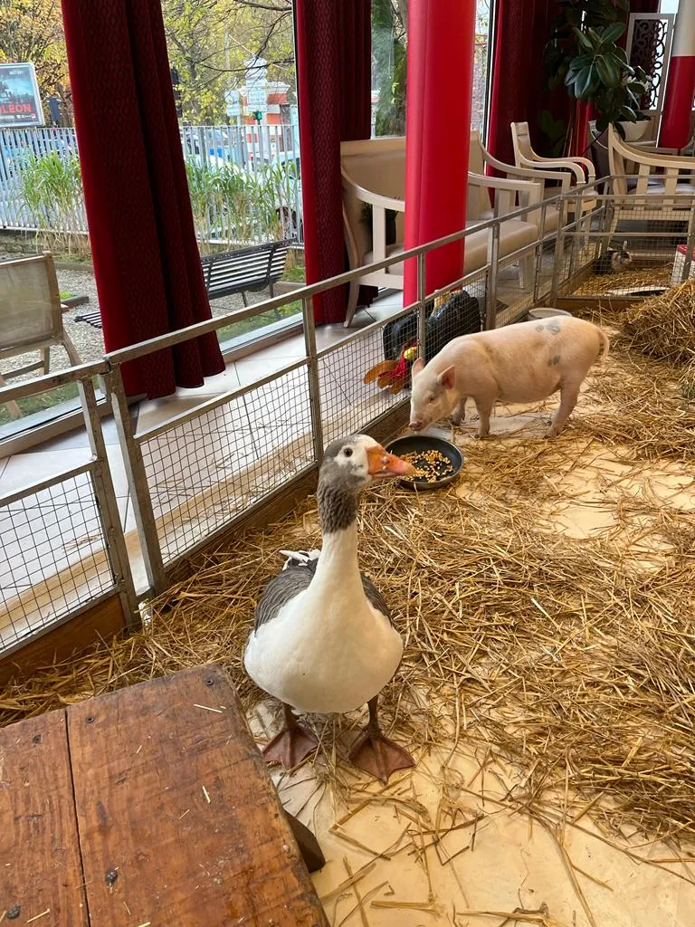 La Ferme à la Résidence 