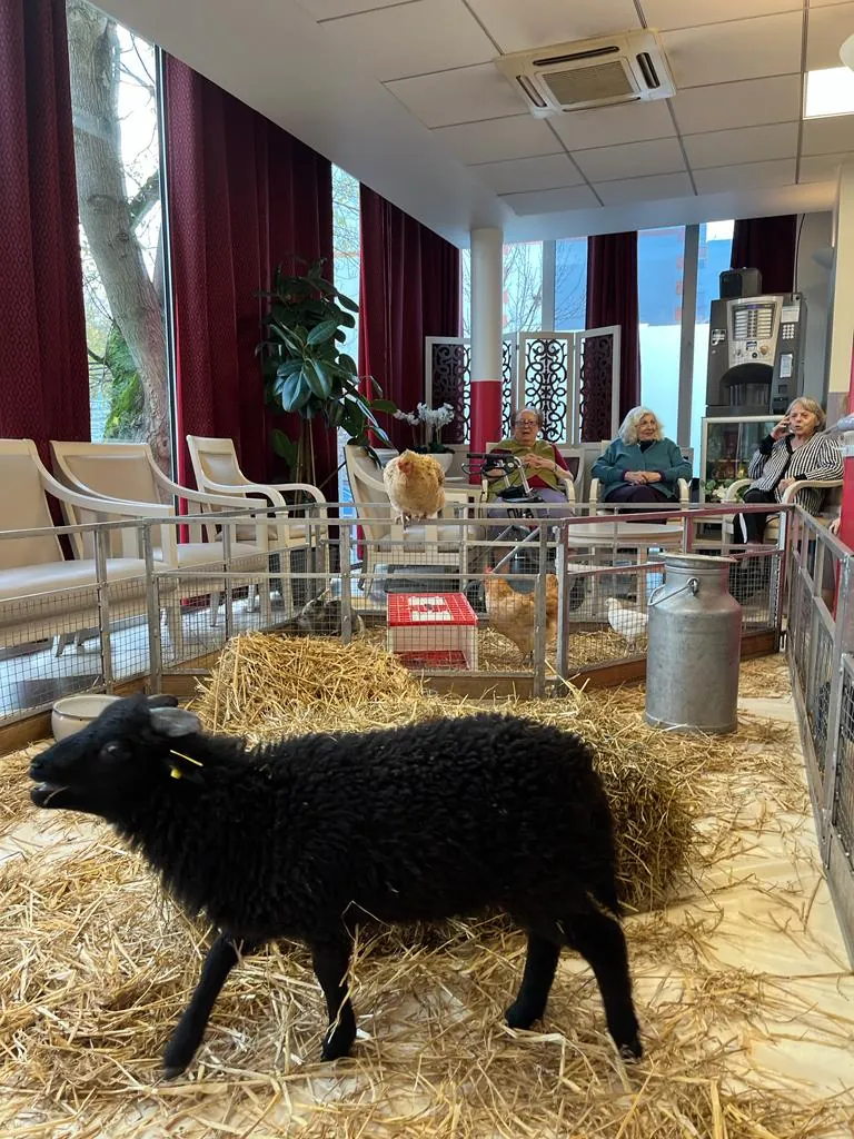 La Ferme à la Résidence 