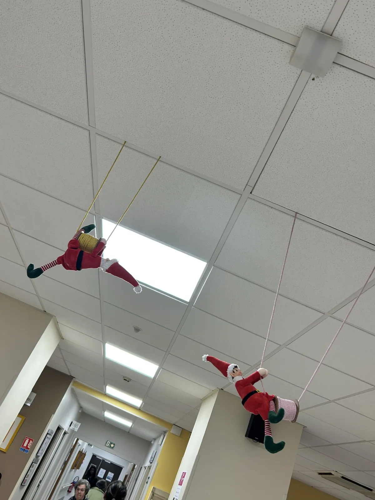 Nos lutins farceurs 