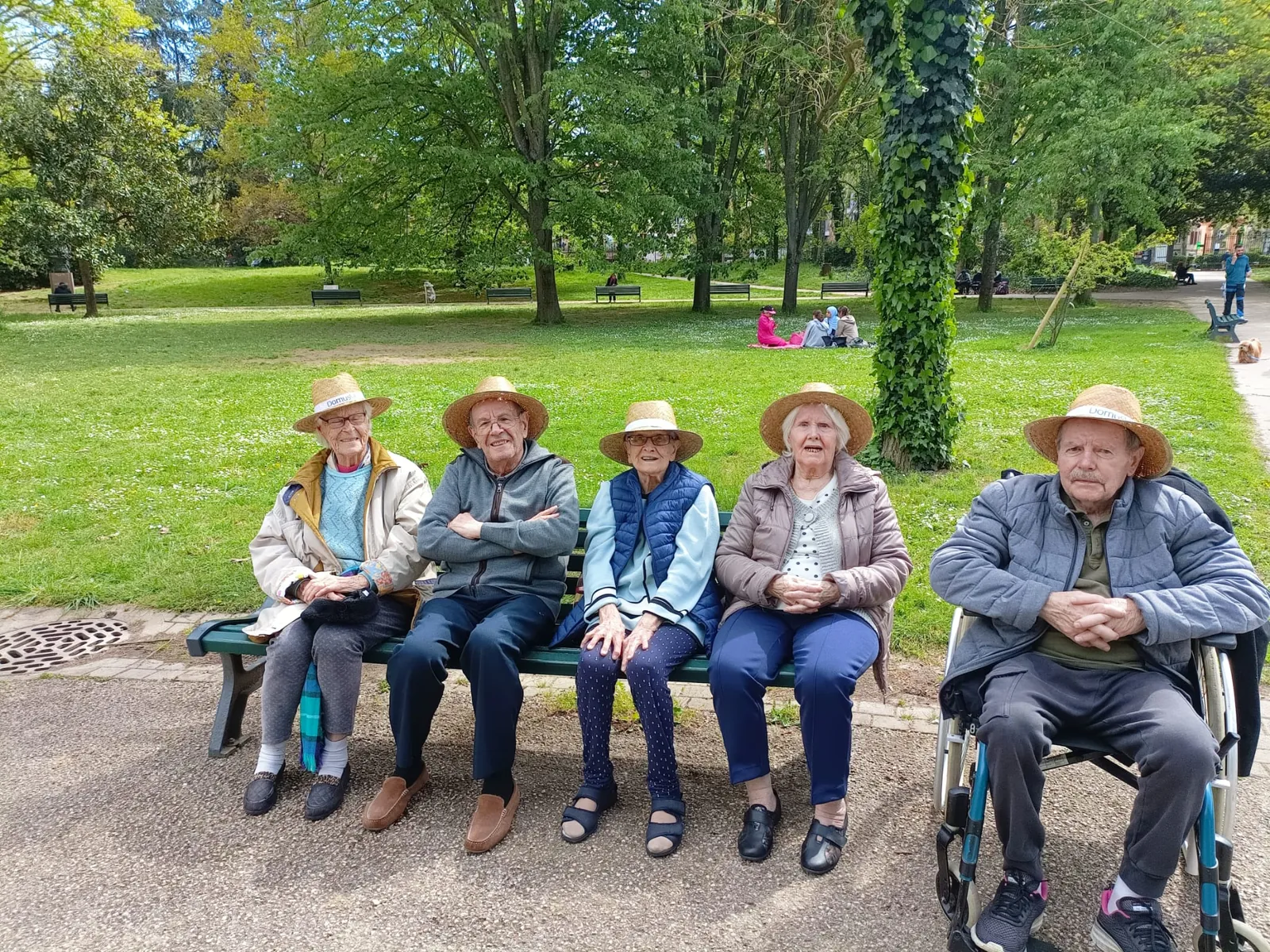 Balade ensoleillée au jardin japonais