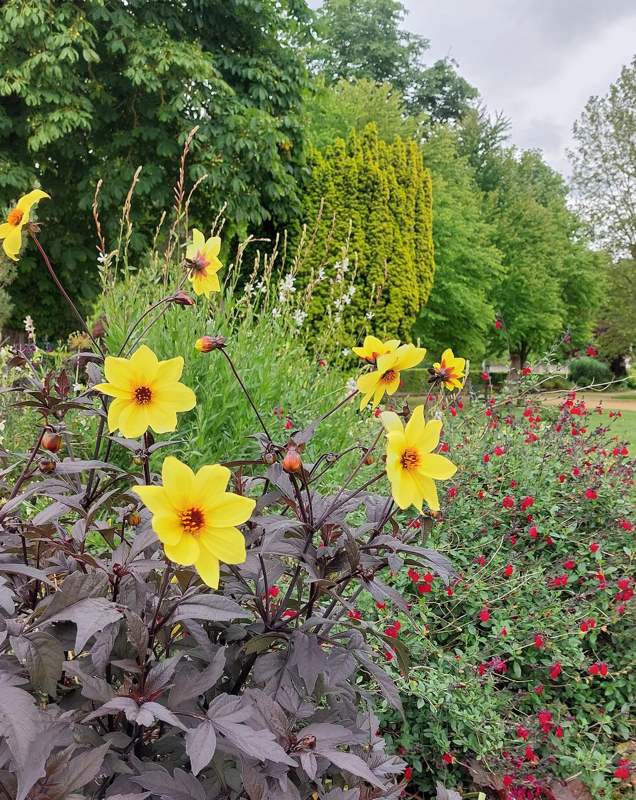 Sortie au Jardin 
